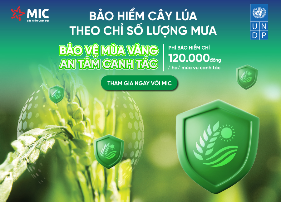 Bảo Hiểm Cây Lúa