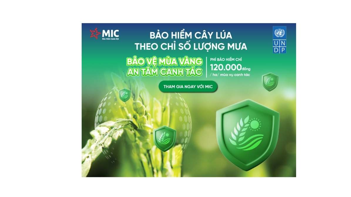 Bao Hiem Cay Lua (trang Web) 3004